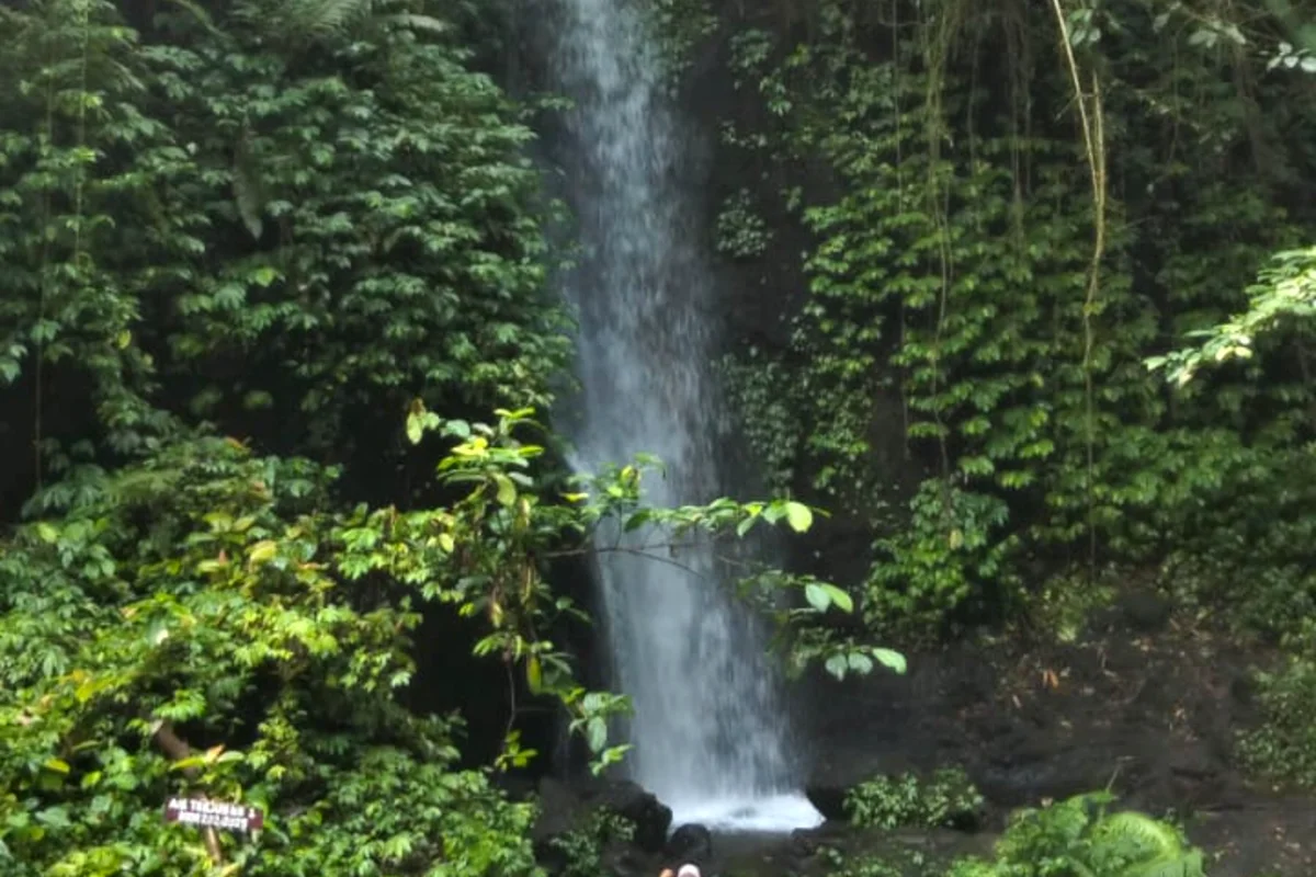 Air Terjun 7 Bidadari Jember, Surga Tersembunyi Yang Bikin Ogah Pulang
