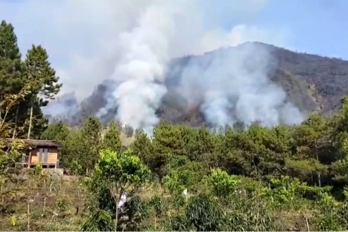   Karhutla Melanda 4 Gunung di Jatim,  Api Melalap 736 Hektar.